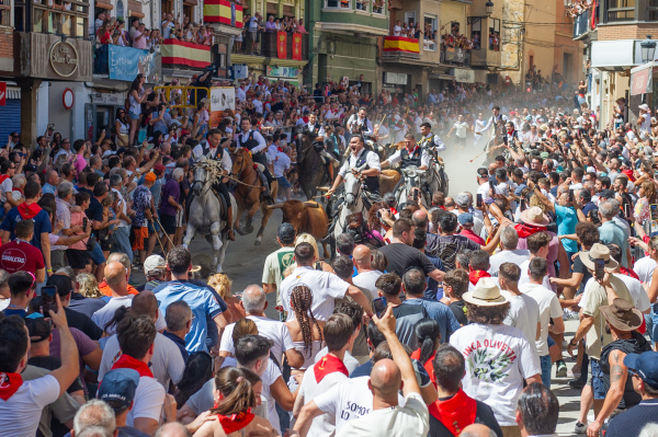 segorbe-abre-la-semana-con-una-veloz-y-espectacular-entrada-de-toros-y-caballos
