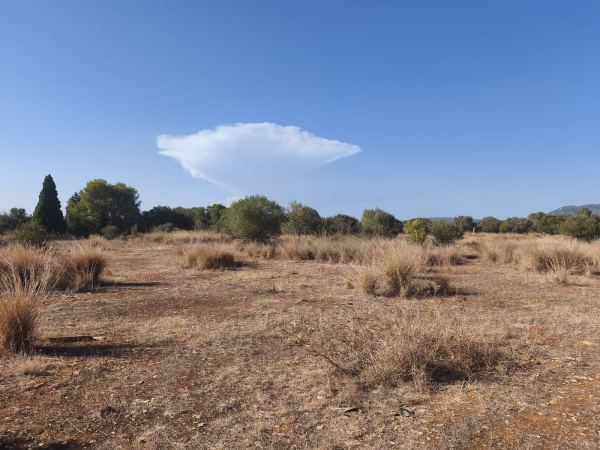 La Federación de Caza condena los disparos contra dos cazadores en un coto de Torreblanca