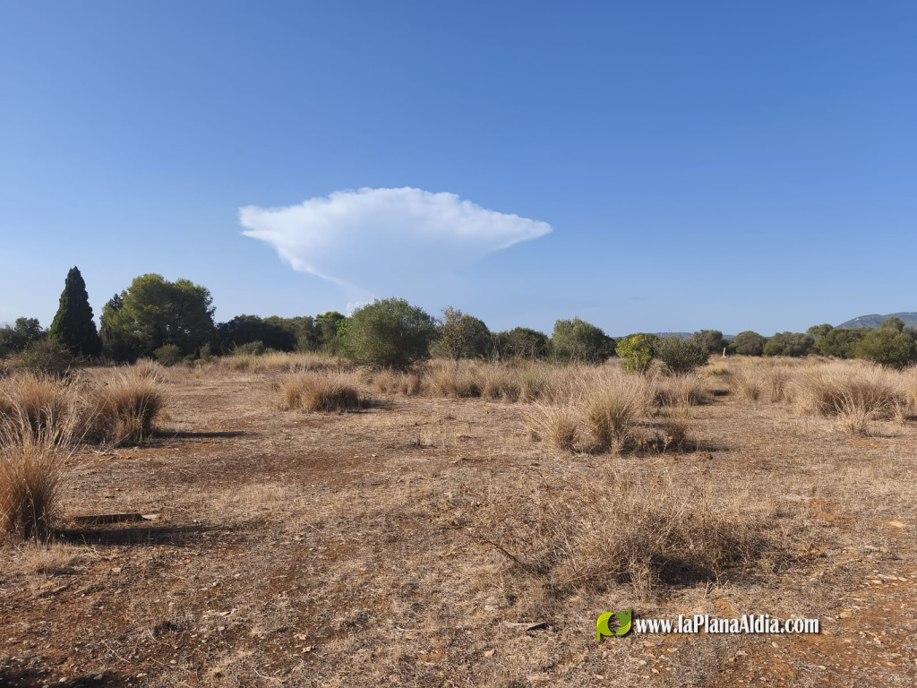 La Federación de Caza condena los disparos contra dos cazadores en un coto de Torreblanca