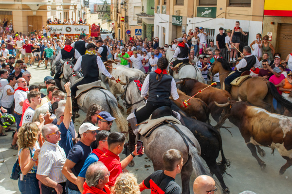 segorbe-vive-una-espectacular-segunda-entrada-de-toros-y-caballos
