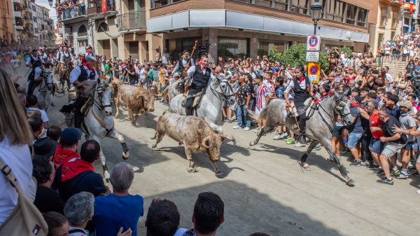 Segorbe viu una quarta Entrada de Bous i Cavalls trepidant i multitudinària