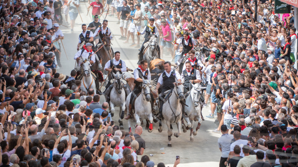 Segorbe viu una sisena entrada de Toros i Cavalls impecable i grandiosa