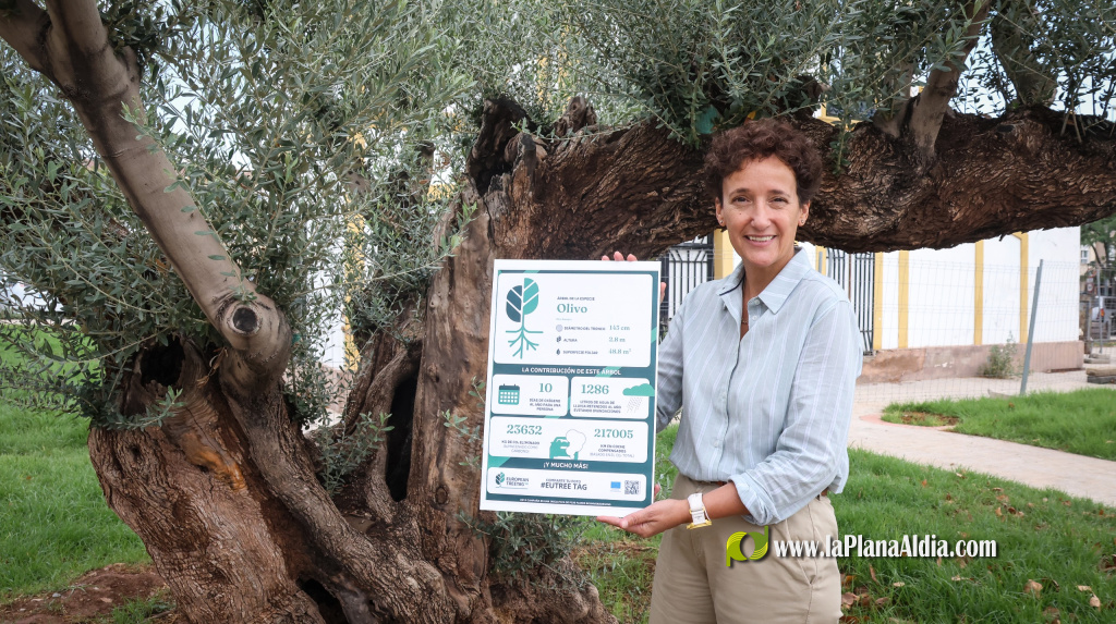 Onda destaca l'olivera centenària al costat de l'Alqueria Cultural en la campanya europea EUTreeTag