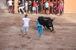 Almenara celebra el Dia del Bou amb bous d'El Pilar i Arcadio Albarr�n