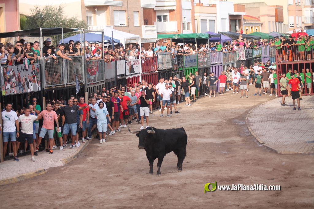 Almenara celebra el Dia del Bou amb bous d'El Pilar i Arcadio Albarr�n