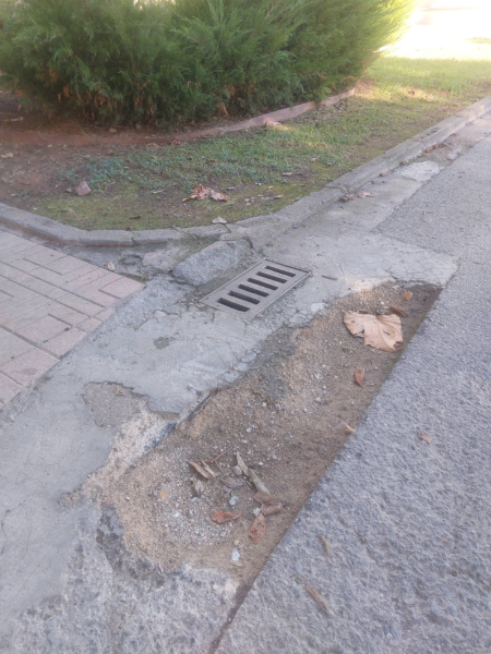 PSPV reclama a Carrasco más mantenimiento y limpieza en Castelló ante quejas vecinales