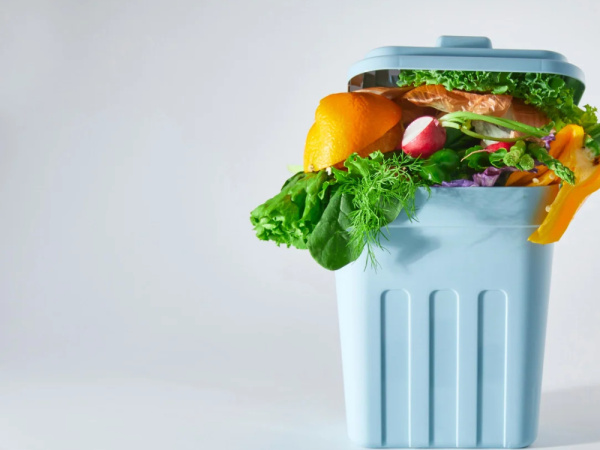 La Comunitat Valenciana desperdicia 117 millones de kilos de alimentos al año, con los hogares como principal escenario
