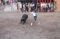 Almenara repr�n els actes taurins de les Festes Patronals amb dos toros de Jos� Luis Marca oferts per l'Ajuntament