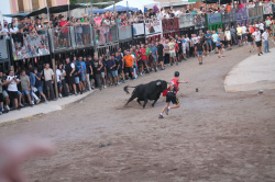 Almenara repr�n els actes taurins de les Festes Patronals amb dos toros de Jos� Luis Marca oferts per l'Ajuntament