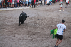 Almenara repr�n els actes taurins de les Festes Patronals amb dos toros de Jos� Luis Marca oferts per l'Ajuntament