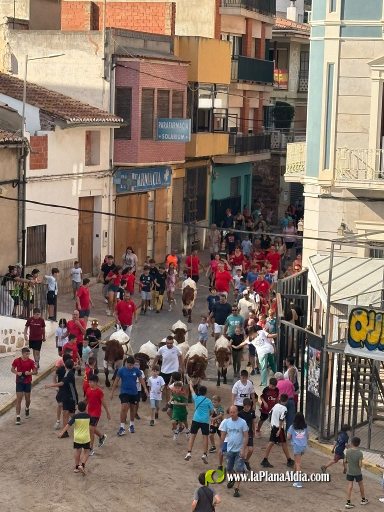 Almenara repr�n els actes taurins de les Festes Patronals amb dos toros de Jos� Luis Marca oferts per l'Ajuntament