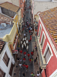 Almenara repr�n els actes taurins de les Festes Patronals amb dos toros de Jos� Luis Marca oferts per l'Ajuntament