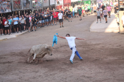 Almenara repr�n els actes taurins de les Festes Patronals amb dos toros de Jos� Luis Marca oferts per l'Ajuntament