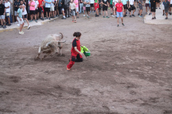 Almenara repr�n els actes taurins de les Festes Patronals amb dos toros de Jos� Luis Marca oferts per l'Ajuntament