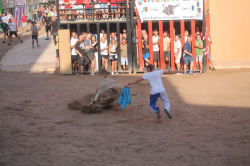 Almenara repr�n els actes taurins de les Festes Patronals amb dos toros de Jos� Luis Marca oferts per l'Ajuntament