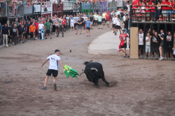 Almenara repr�n els actes taurins de les Festes Patronals amb dos toros de Jos� Luis Marca oferts per l'Ajuntament