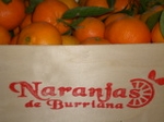 Fotografia /Gallery/11366_6265/7_M1.jpg