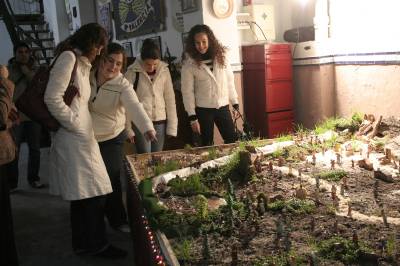 Fotografia /Gallery/1161_605/6_M1.jpg