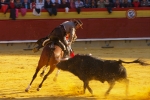 Corrida de rejones