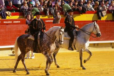 Fotografia /Gallery/14729_8088/4_M1.jpg