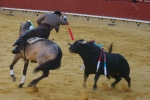 Corrida de rejones