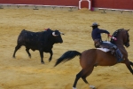 Corrida de rejones