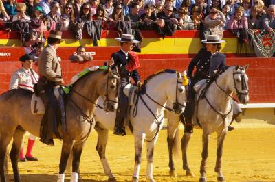 Fotografia /Gallery/14729_8088/6_M1.jpg