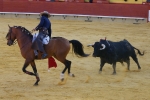 Corrida de rejones