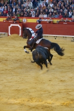 Corrida de rejones