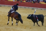 Corrida de rejones