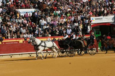 Fotografia /Gallery/14765_8163/3_M1.jpg