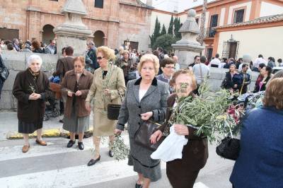 Fotografia /Gallery/15293_8444/5_M1.jpg