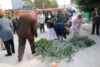 Fotografia /Gallery/15295_8447/3_M1.jpg