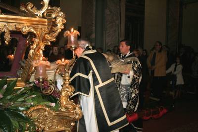 Fotografia /Gallery/15481_8565/5_M1.jpg