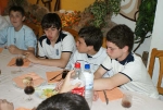 Partidos (Galeria 1)