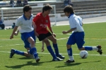Partidos (Galeria 1)
