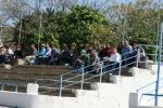 Partidos (Galeria 1)