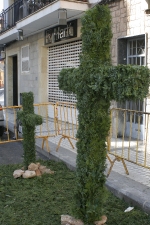 Creus de Maig 2009