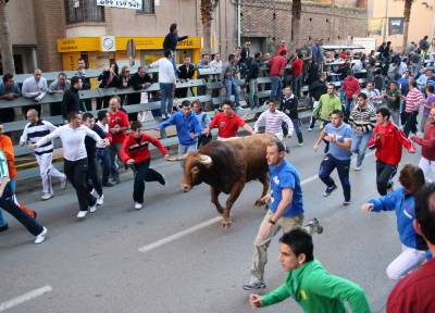 Fotografia /Gallery/16694_9275/2_M1.jpg