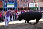 Toros Sabado