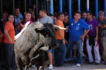 Toros Sabado