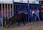 Los toros centran la jornada festiva