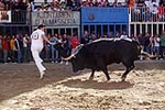 Los toros centran la jornada festiva