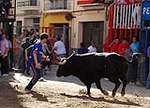 Los toros centran la jornada festiva