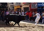 Los toros centran la jornada festiva