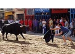 Los toros centran la jornada festiva