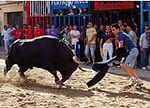 Los toros centran la jornada festiva