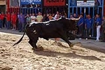 Los toros centran la jornada festiva