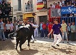 Los toros centran la jornada festiva