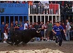 Los toros centran la jornada festiva